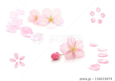 Watercolor cherry blossom frame 138019874