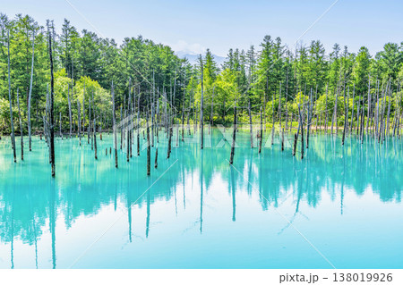 北海道美瑛町 夏の北海道 白金青い池 北海道美瑛町 夏の北海道 白金青い池 138019926