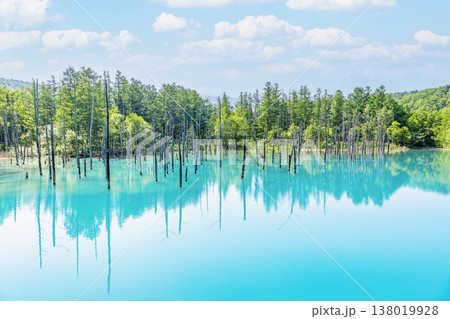北海道美瑛町 夏の北海道 白金青い池 北海道美瑛町 夏の北海道 白金青い池 138019928
