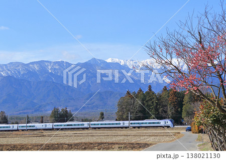 大糸線　早春の安曇野を行く特急あずさ 138021130