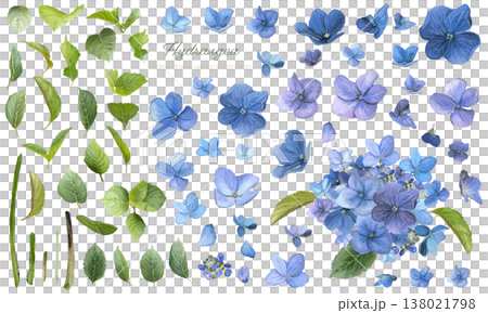 青と紫の紫陽花の水彩パーツセット 138021798