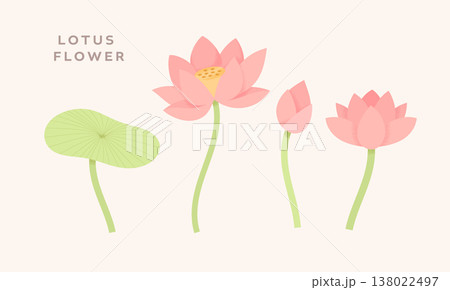 Lotus element set with modern minimal grain texture Lotus element set with modern minimal grain texture 138022497