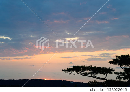 朝焼けに染まる空と松の木のシルエット 夜明けの風景 朝焼けに染まる空と松の木のシルエット 夜明けの風景 138022646