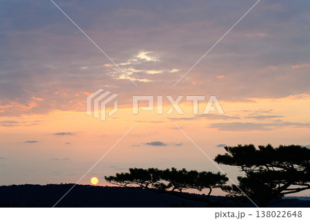 朝焼けに染まる空と松の木のシルエット 夜明けの風景 朝焼けに染まる空と松の木のシルエット 夜明けの風景 138022648