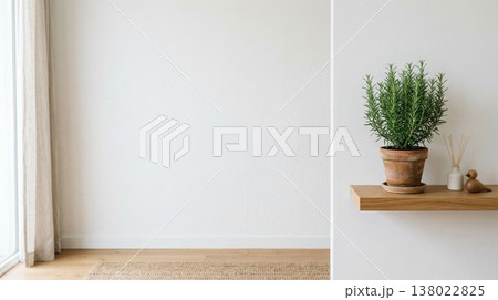 ハーブ（ローズマリー）と白い壁の室内インテリア背景素材 自然光とコピースペース 138022825