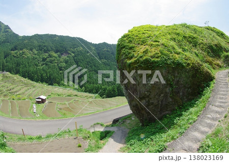 六月の三重県熊野市の丸山千枚田では、田植え作業が終わり秋にはおいしいお米が収穫できます。 六月の三重県熊野市の丸山千枚田では、田植え作業が終わり秋にはおいしいお米が収穫できます。 138023169