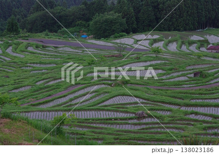 六月の三重県熊野市の丸山千枚田では、田植え作業が終わり秋にはおいしいお米が収穫できます。 六月の三重県熊野市の丸山千枚田では、田植え作業が終わり秋にはおいしいお米が収穫できます。 138023186