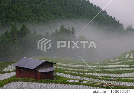 六月の三重県熊野市の丸山千枚田では、田植え作業が終わり秋にはおいしいお米が収穫できます。 六月の三重県熊野市の丸山千枚田では、田植え作業が終わり秋にはおいしいお米が収穫できます。 138023194