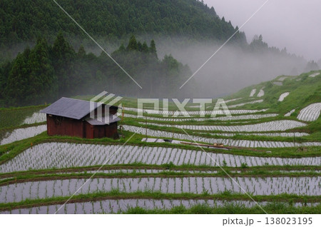 六月の三重県熊野市の丸山千枚田では、田植え作業が終わり秋にはおいしいお米が収穫できます。 六月の三重県熊野市の丸山千枚田では、田植え作業が終わり秋にはおいしいお米が収穫できます。 138023195
