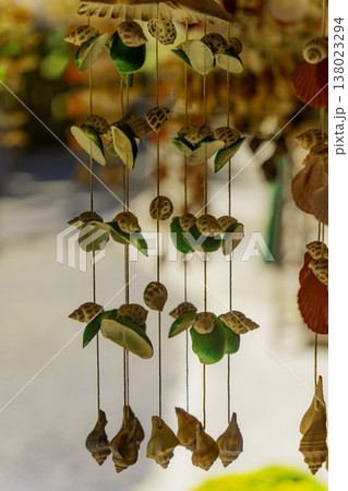 Seashells. Seashells. 138023294