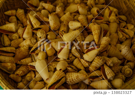 Seashells. 138023327