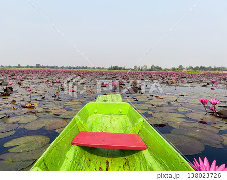 Boat journey across blooming lotus lake Boat journey across blooming lotus lake 138023726