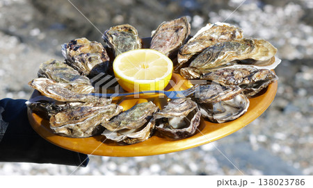 Close-up of 12 oysters on a tray with lemon fresh from the oyster farm Close-up of 12 oysters on a tray with lemon fresh from the oyster farm 138023786
