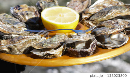 Close-up of 12 oysters on a tray with lemon fresh from the oyster farm Close-up of 12 oysters on a tray with lemon fresh from the oyster farm 138023800
