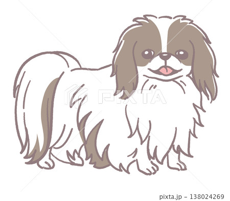 犬、狆のイラスト素材。ベクターイラスト素材。 138024269