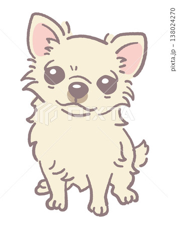 犬、チワワのイラスト素材。ベクターイラスト素材。 犬、チワワのイラスト素材。ベクターイラスト素材。 138024270