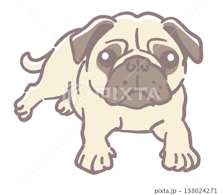 犬、パグのイラスト素材。ベクターイラスト素材。 138024271