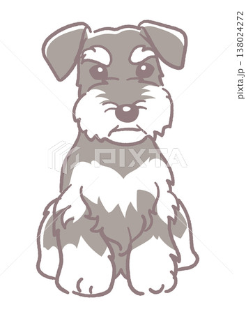 犬、ミニチュアシュナウザーのイラスト素材。ベクターイラスト素材。 138024272