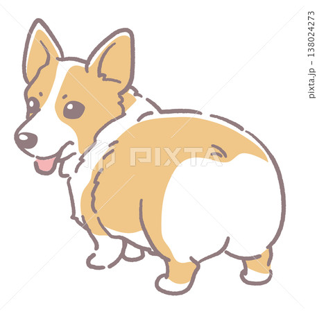 犬、コーギーのイラスト素材。ベクターイラスト素材。 138024273