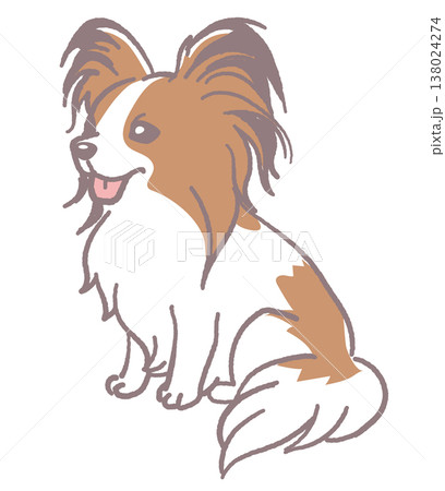 犬、パピヨンのイラスト素材。ベクターイラスト素材。 138024274