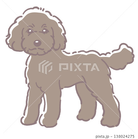 犬、プードルのイラスト素材。ベクターイラスト素材。 138024275
