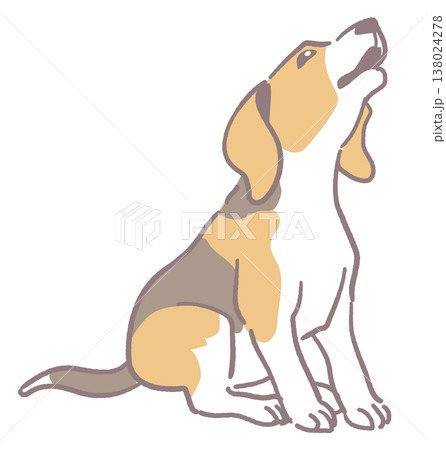 犬、吠えるビーグルのイラスト素材。ベクターイラスト素材。 138024278
