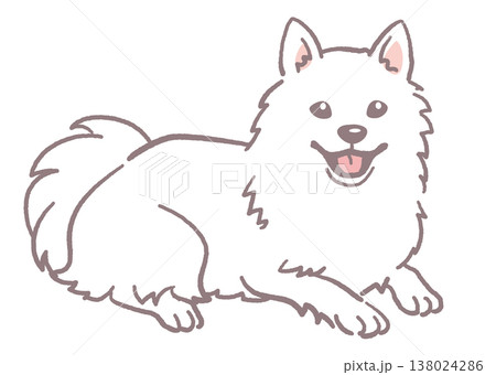 犬、日本スピッツのイラスト素材。ベクターイラスト素材。 138024286