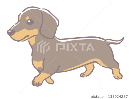 犬、ミニチュアダックスフンドのイラスト素材。ベクターイラスト素材。 犬、ミニチュアダックスフンドのイラスト素材。ベクターイラスト素材。 138024287