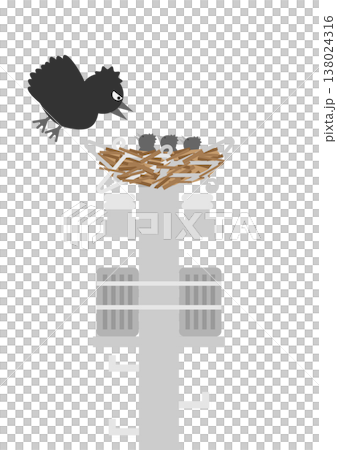 電柱にカラスの鳥の巣が作られてしまったイメージイラスト素材 電柱にカラスの鳥の巣が作られてしまったイメージイラスト素材 138024316