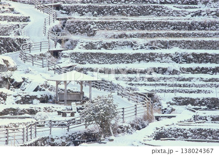 雪の四谷千枚田 138024367