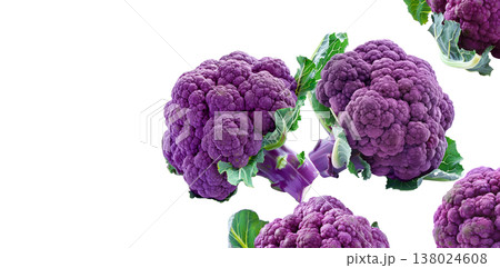 Fresh purple cauliflower heads with green leaves, isolated on white background, concept of healthy organic vegetables Fresh purple cauliflower heads with green leaves, isolated on white background, concept of healthy organic vegetables 138024608