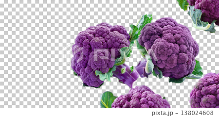 Fresh purple cauliflower heads with green leaves, isolated on white background, concept of healthy organic vegetables Fresh purple cauliflower heads with green leaves, isolated on white background, concept of healthy organic vegetables 138024608
