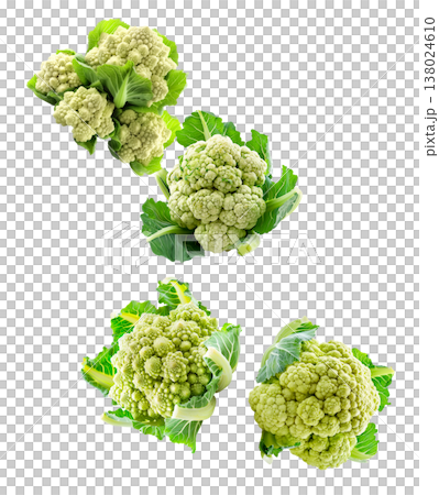Multiple fresh green cauliflower heads isolated on white background, concept of healthy food and vegetables Multiple fresh green cauliflower heads isolated on white background, concept of healthy food and vegetables 138024610