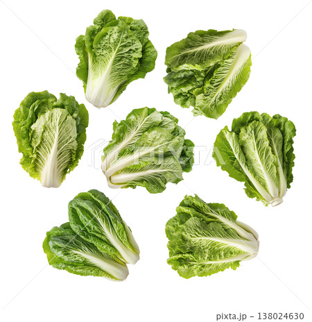 Multiple fresh romaine lettuce heads arranged in a scattered pattern isolated on white background, healthy organic food concept 138024630