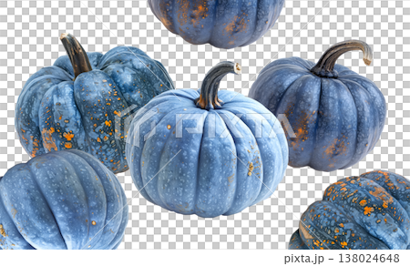 Set of blue pumpkins with orange speckles, isolated on white background. Concept of unique autumn harvest decoration Set of blue pumpkins with orange speckles, isolated on white background. Concept of unique autumn harvest decoration 138024648