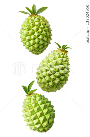 Multiple green durian fruits with sharp spikes arranged in a seamless pattern isolated on white background Multiple green durian fruits with sharp spikes arranged in a seamless pattern isolated on white background 138024950