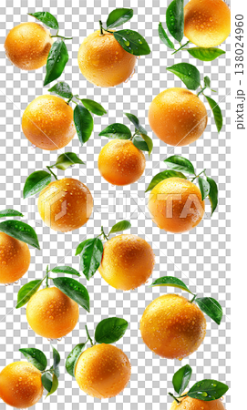 Fresh whole and sliced grapefruits with green leaves and water drops on white background, citrus freshness and fruit pattern Fresh whole and sliced grapefruits with green leaves and water drops on white background, citrus freshness and fruit pattern 138024960