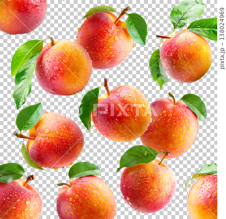 Juicy red-yellow plums and nectarines with dew drops and green leaves, isolated on white background, freshness and summer fruit 138024969