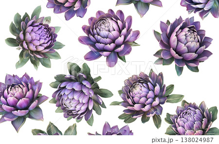 Multiple purple-pink blooming flowers with green leaves isolated on white background, botanical floral pattern concept 138024987