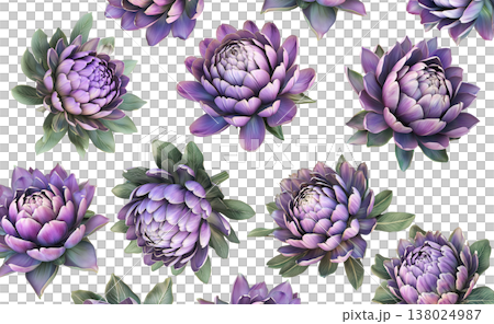 Multiple purple-pink blooming flowers with green leaves isolated on white background, botanical floral pattern concept 138024987