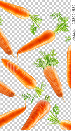 Bunches of fresh orange carrots with green tops arranged in a scattered layout isolated on white background, organic healthy food Bunches of fresh orange carrots with green tops arranged in a scattered layout isolated on white background, organic healthy food 138024989