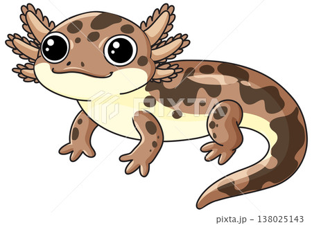 Cute Brown Spotted Axolotl Vector Illustration Isolated on White Background Cute Brown Spotted Axolotl Vector Illustration Isolated on White Background 138025143