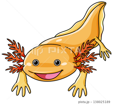 Cute Yellow Axolotl Vector Illustration Isolated on White Background Cute Yellow Axolotl Vector Illustration Isolated on White Background 138025189