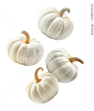 White mini pumpkins with natural stems and speckles, in a scattered layout isolated on white background. 138025412
