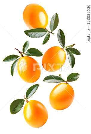 Ripe marian plums with glossy skin and green leaves scattered isolated on white background, freshness and tropical fruit concept 138025530