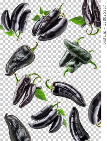 Fresh black jalapeno peppers with green stems and leaves arranged and isolated on white background, concept for food themes Fresh black jalapeno peppers with green stems and leaves arranged and isolated on white background, concept for food themes 138025557