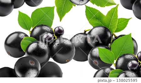 Fresh ripe black jamun fruits or jabuticaba with green leaves, isolated on white background. Concept of tropical summer fruits Fresh ripe black jamun fruits or jabuticaba with green leaves, isolated on white background. Concept of tropical summer fruits 138025595