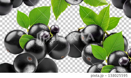 Fresh ripe black jamun fruits or jabuticaba with green leaves, isolated on white background. Concept of tropical summer fruits Fresh ripe black jamun fruits or jabuticaba with green leaves, isolated on white background. Concept of tropical summer fruits 138025595