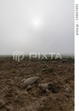 an agricultural field plowed in autumn for spring sowing, cloudy weather in the autumn season, fog during temperature fluctuations in autumn on the agricultural field an agricultural field plowed in autumn for spring sowing, cloudy weather in the autumn season, fog during temperature fluctuations in autumn on the agricultural field 138025891