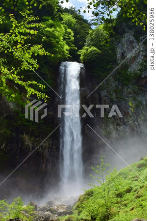 新緑に包まれる奥飛騨　平湯大滝 138025986